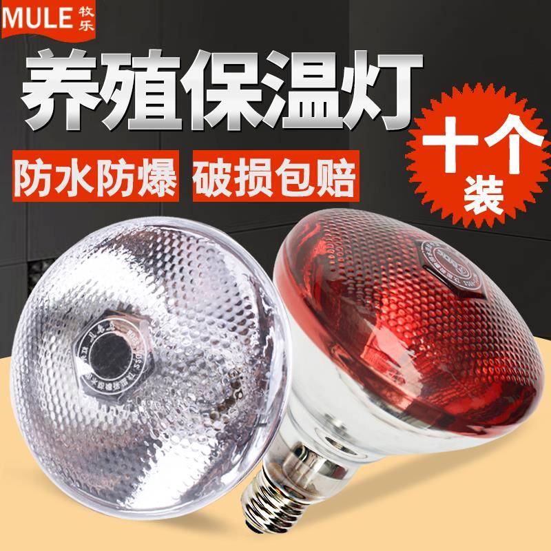 保温灯养殖场专用猪场取暖灯泡小鸡育雏加热灯仔猪用保暖烤灯兽用