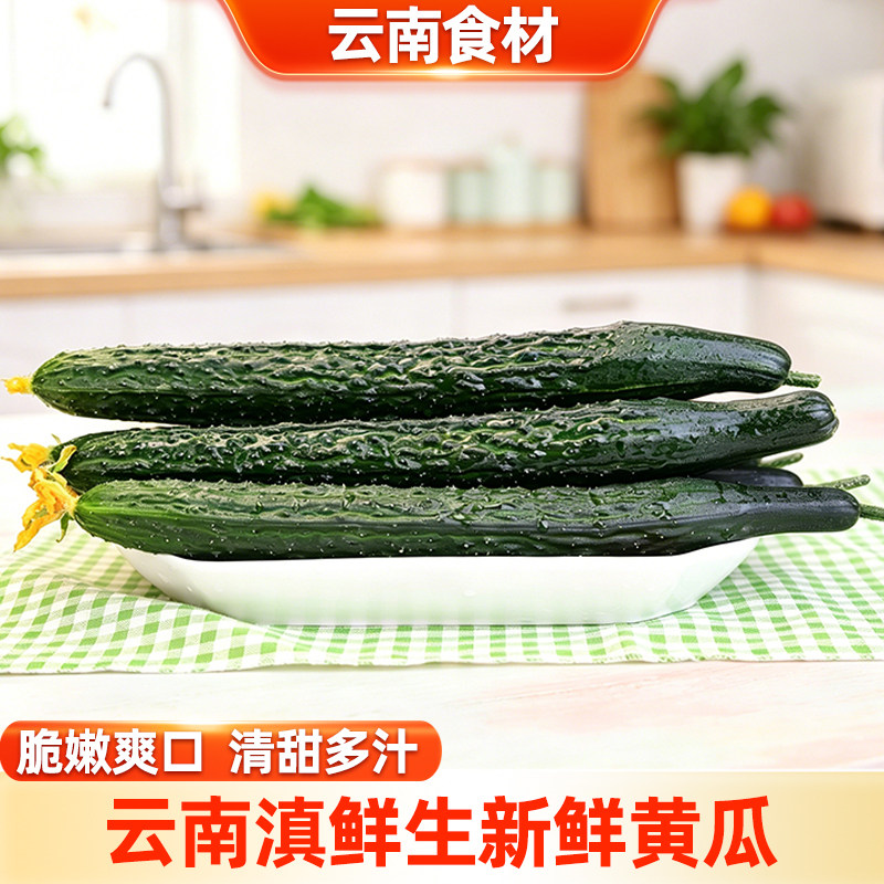 云南滇鲜生新鲜黄瓜农家蔬菜产地直发脆黄瓜表皮翠绿新鲜黄瓜
