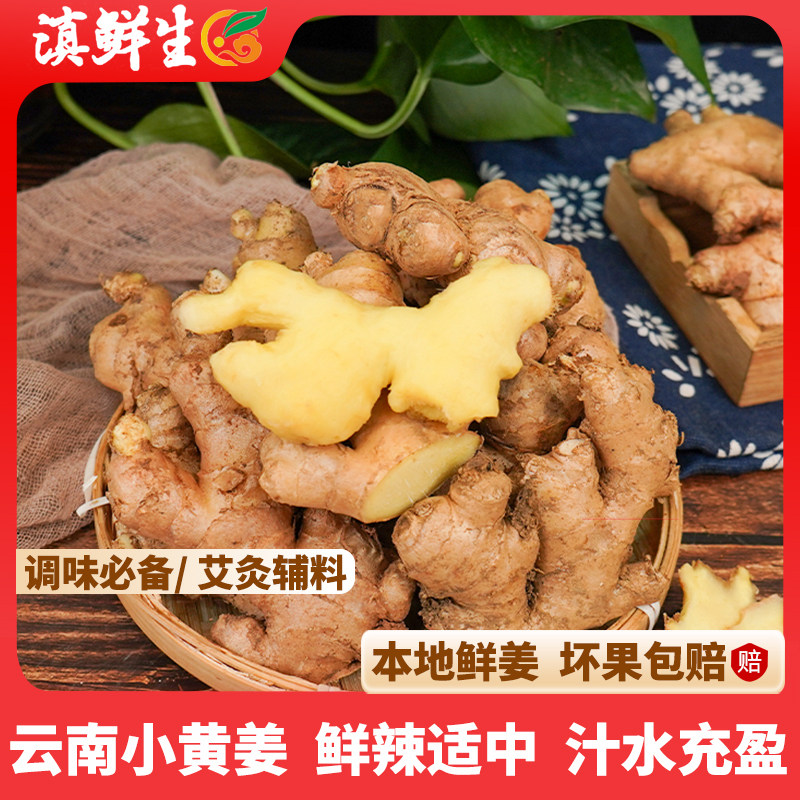 【滇鲜生】云南小黄姜艾灸养生姜图片