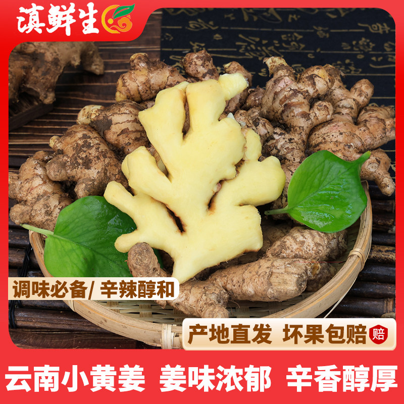 【滇鲜生】云南新鲜小黄姜图片