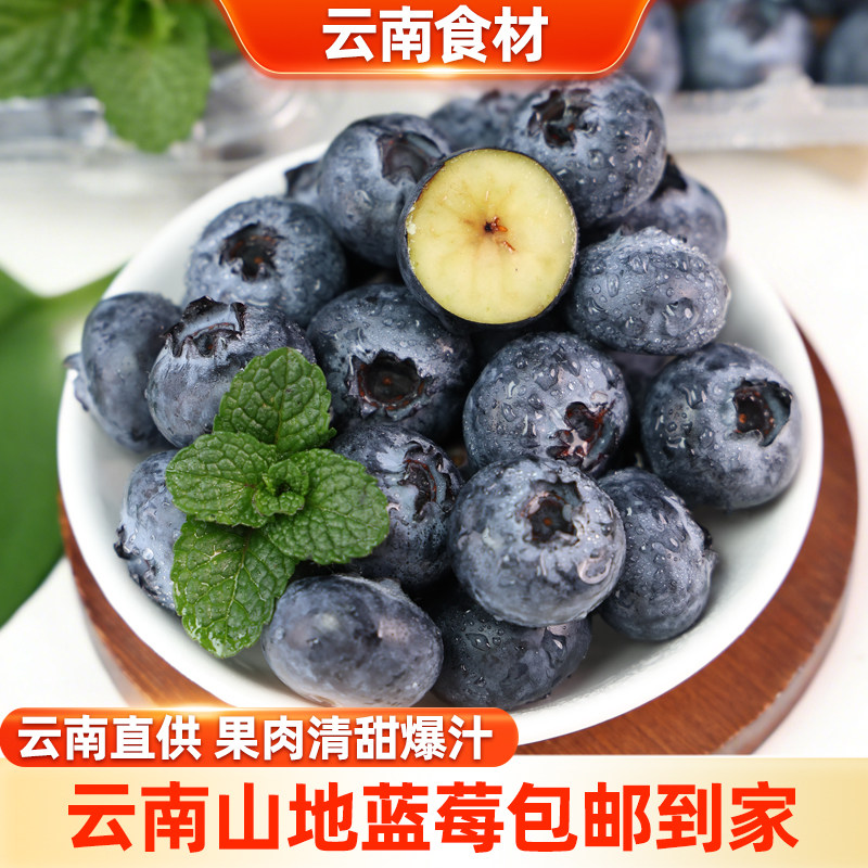 滇鲜生云南高山蓝莓当季新鲜水果浆果新鲜软糯包邮到家甄选蓝莓,水产肉类/新鲜蔬果/熟食,蓝莓,淘宝优惠券,粉丝福利购,淘宝优惠卷