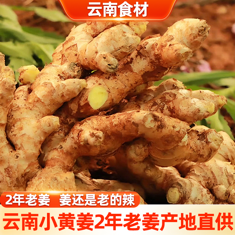 【滇鲜生】云南新鲜小黄姜