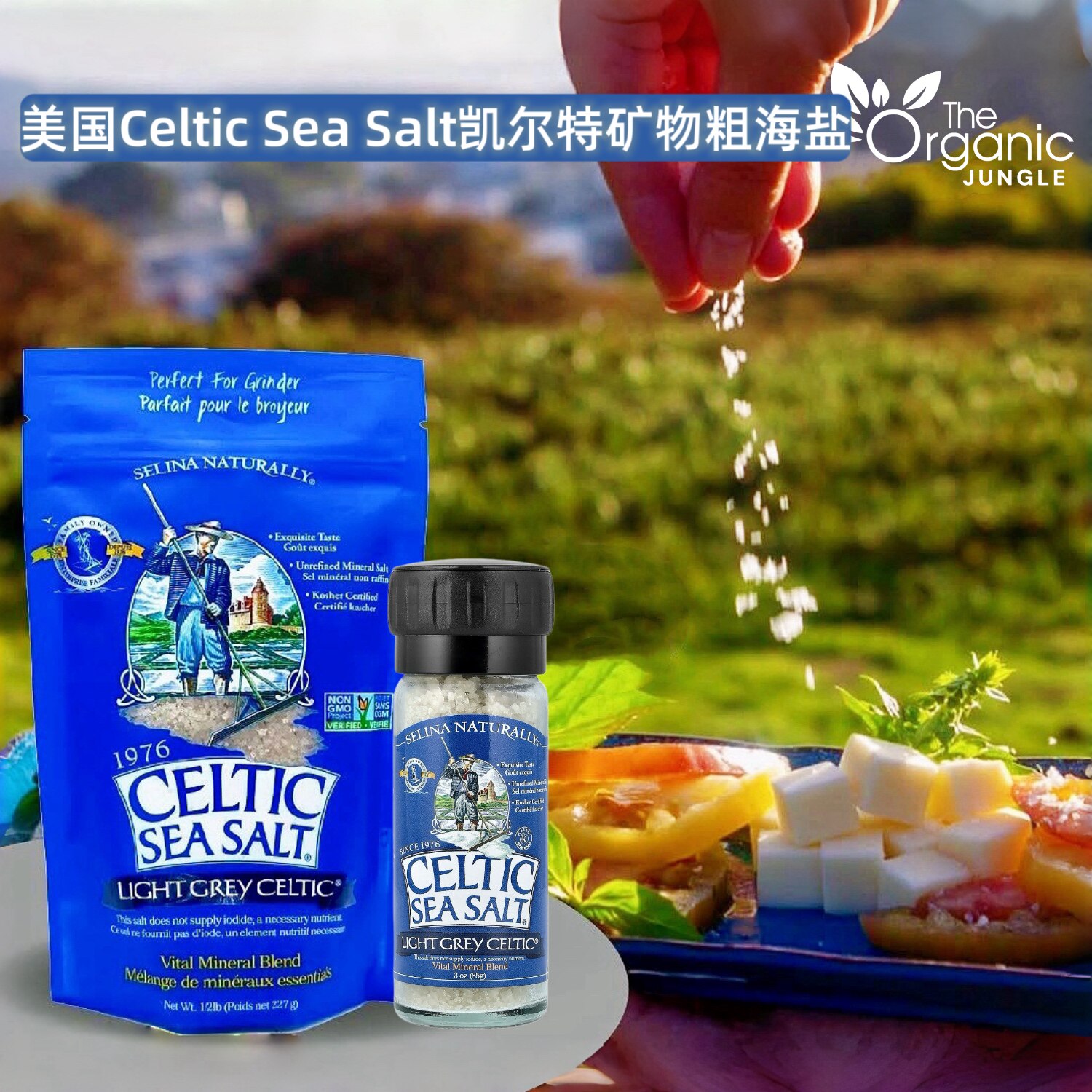 美国Celtic Sea Salt凯尔特有机海盐烘焙调味浅灰粗粒矿物盐无碘