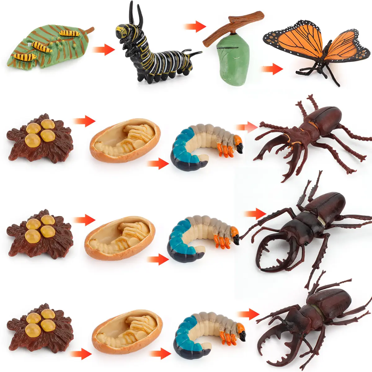 仿真动物模型鸡鸭鹅海龟成长周期教具摆件