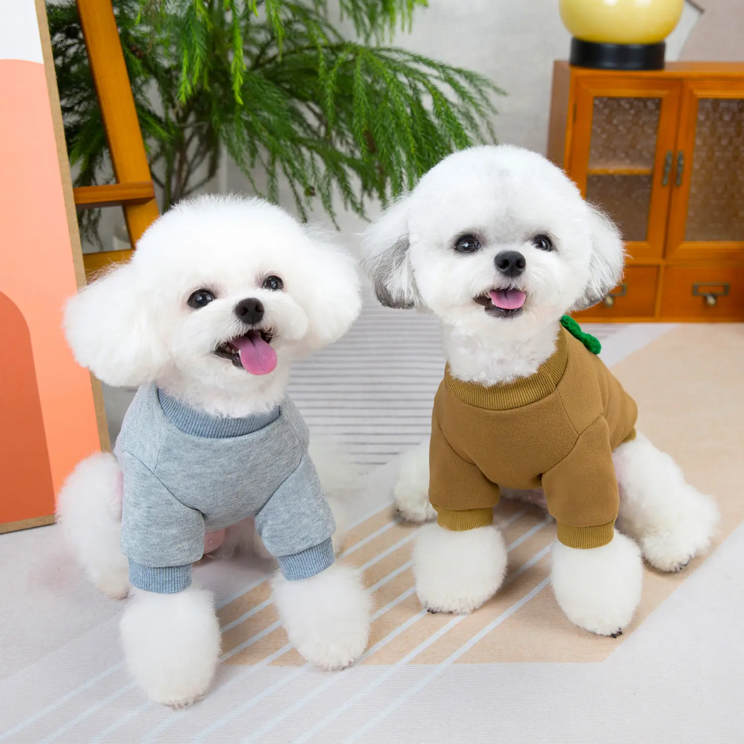 源头工厂春秋季可爱卡通狗狗卫衣猫咪泰迪柯基可牵引宠物衣服