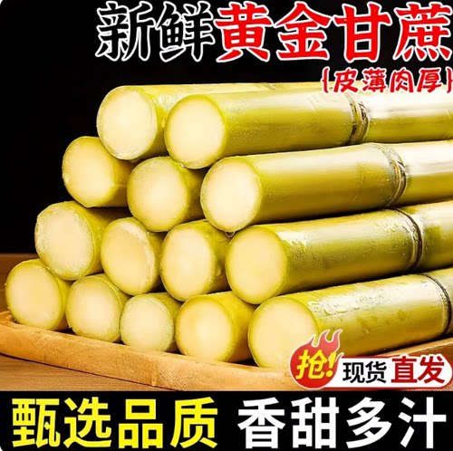 广西手剥黄金甘蔗新鲜当季水果黄皮青皮黑皮甘蔗现砍脆甜多汁包邮