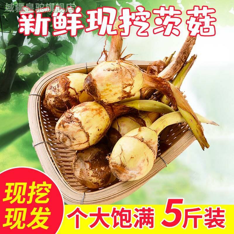 苏北新鲜蔬菜山茨菇白慈姑茨菰马蹄荸荠燕尾草地栗芽菇特产兹池姑