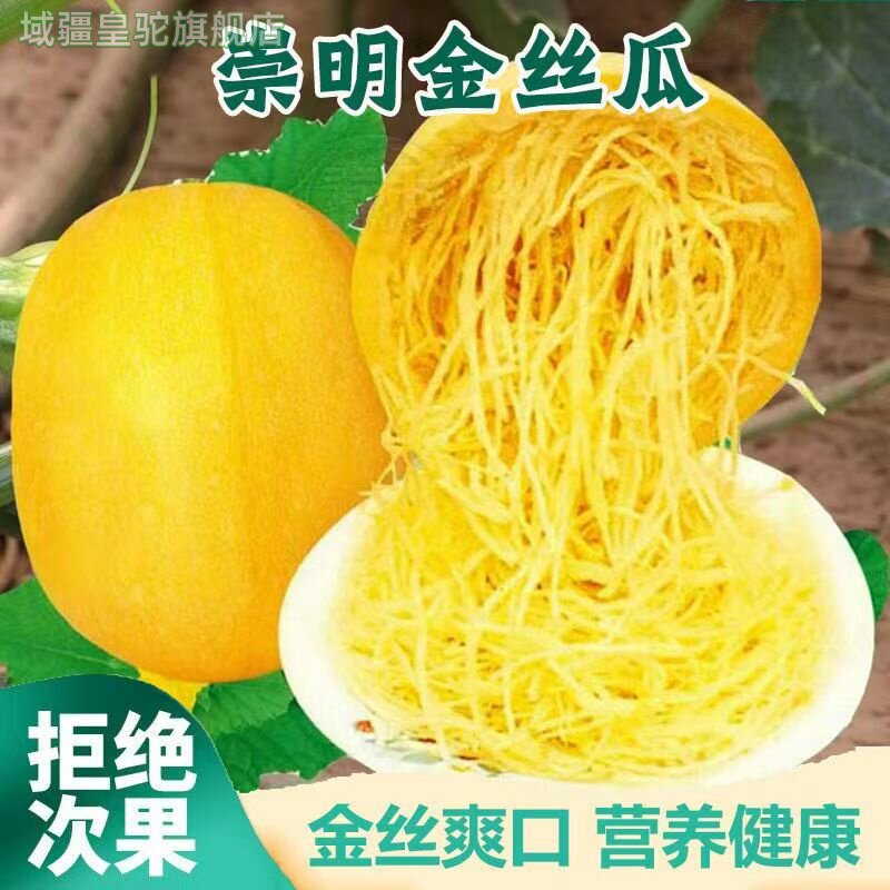 崇明岛新鲜角瓜搅瓜绞瓜金丝瓜黄金拉丝茭瓜凉拌瓜绞丝瓜