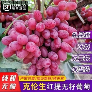 应季克伦生无籽红提整箱包邮现摘5斤脆甜鲜葡萄孕妇水果礼盒