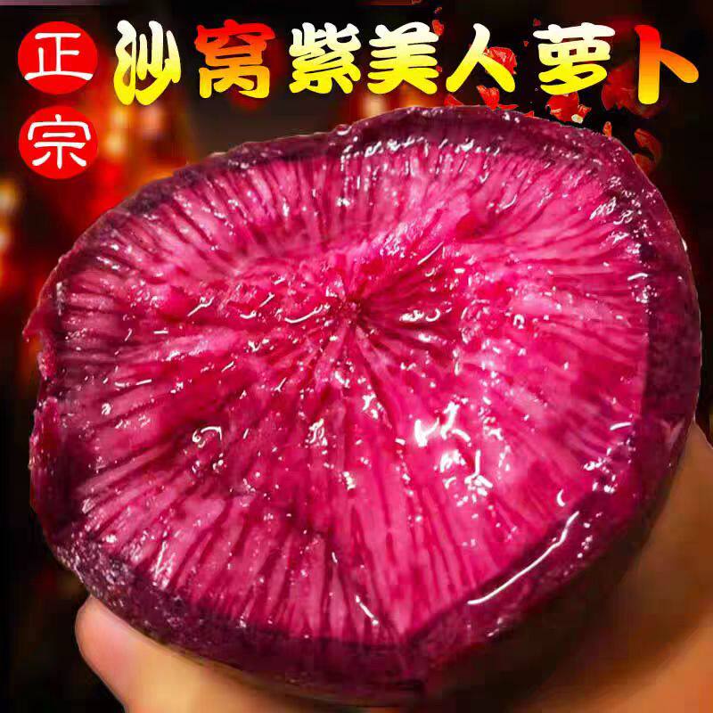 正宗天津沙窝紫美人凤梨水果萝卜新鲜现拔红心胭脂萝卜脆甜多汁9