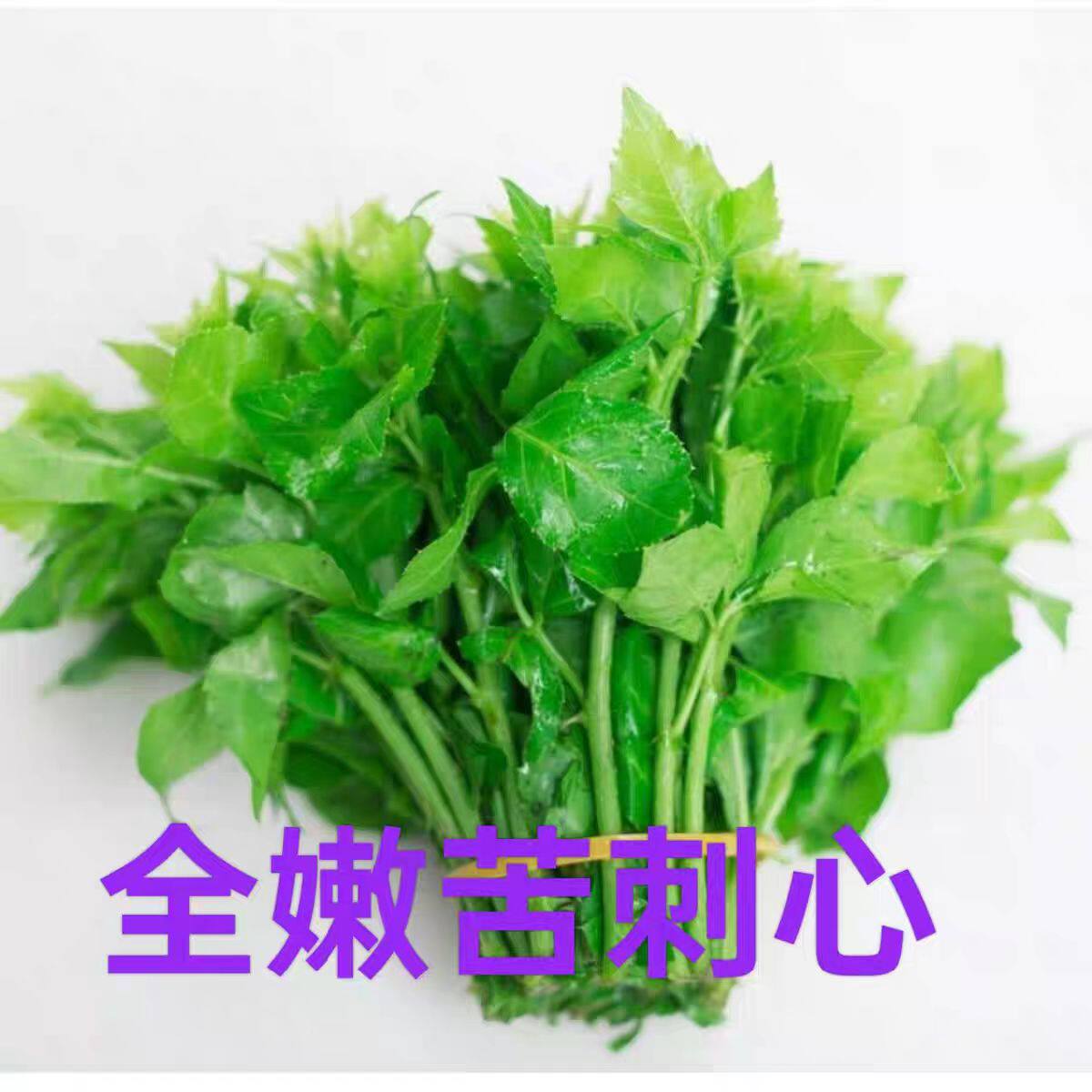 苦刺菜簕菜苦刺心新鲜野菜白簕鲜嫩勒菜三加叶四季菜绿新鲜蔬菜