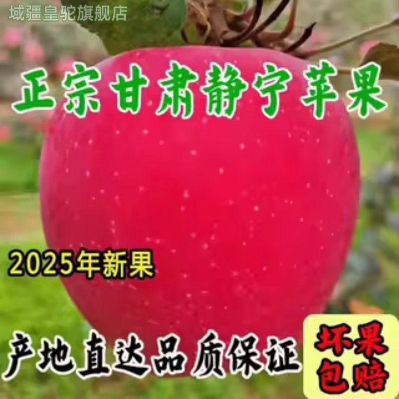 甘肃特产静宁苹果红富士水果新鲜当季整箱一级90甜脆大果送礼,水产肉类/新鲜蔬果/熟食,苹果,淘宝优惠券,粉丝福利购,淘宝优惠卷