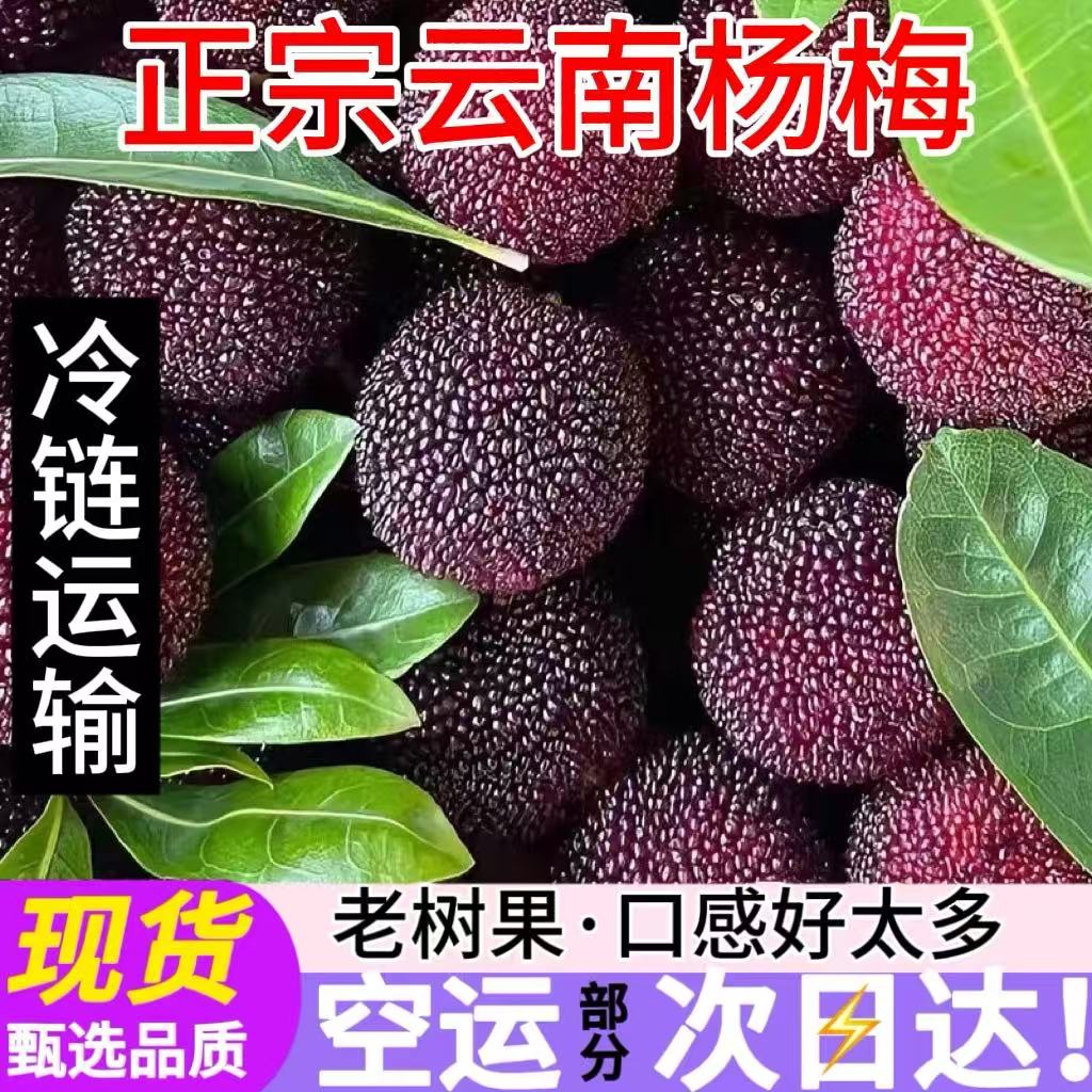 2025冷冻杨梅荸荠黑炭特早杨梅硬丝当季孕妇水果酸甜