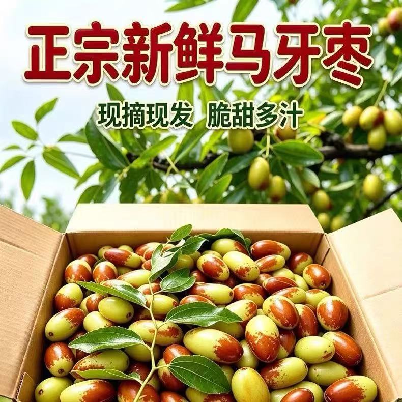 正宗山东新鲜马牙枣新鲜大枣鲜枣子长枣脆甜当季水果冬枣时令大果