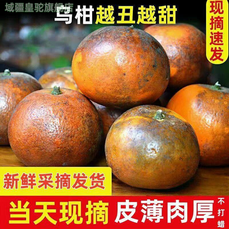 广西武鸣非洲乌柑橘9斤新鲜水果当季蜜桔柑桔子整箱乌柑黑皮沃柑