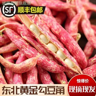 速冻东北特产油豆角黄金勾钩黄豆角沟挤豆八月忙新鲜蔬菜黄金钩