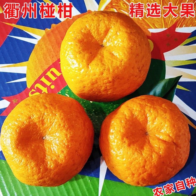 衢州椪柑清江新鲜酸甜橘子带籽老树品种芦柑水果带箱整箱当季桔子