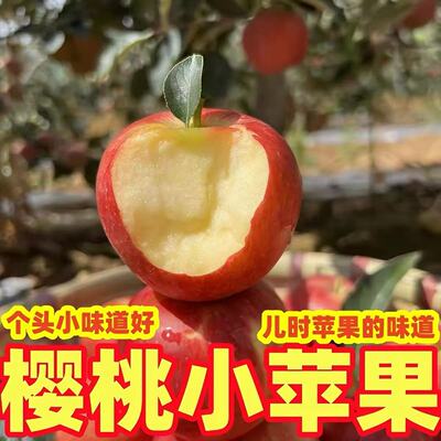 樱桃小苹果四川大凉山高山高原丑苹果应季新鲜水果整箱包邮