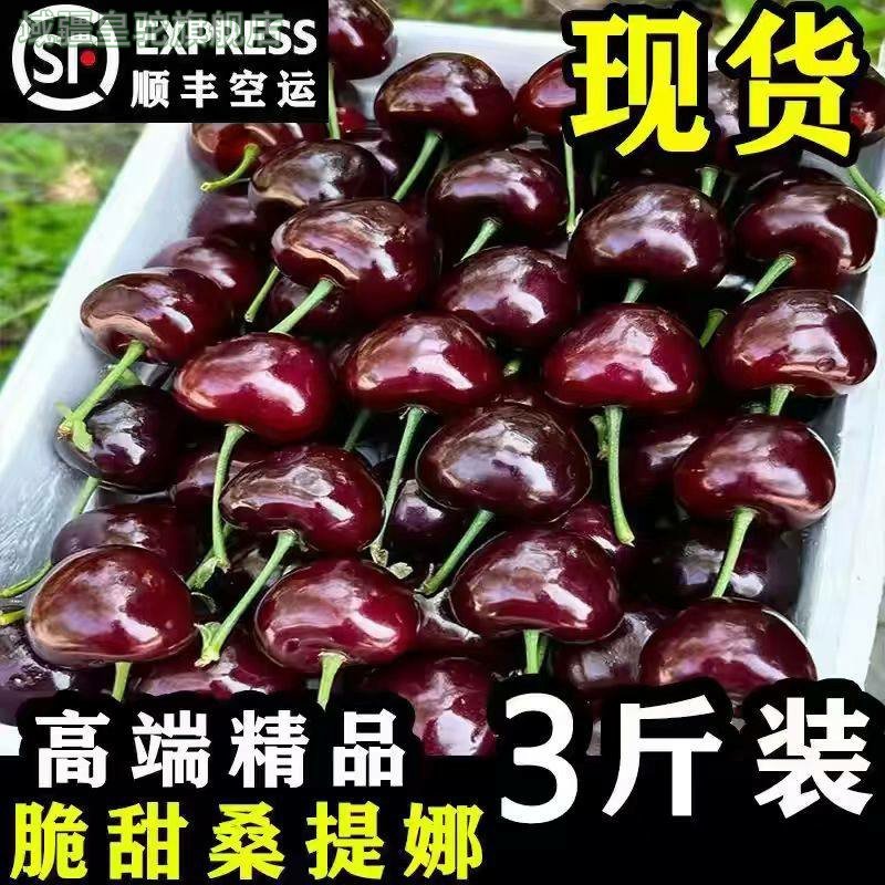 【顺丰京东】25年桑提娜车厘子当季新鲜水果大樱桃礼盒装包邮生鲜,水产肉类/新鲜蔬果/熟食,车厘子/樱桃,淘宝优惠券,粉丝福利购,淘宝优惠卷