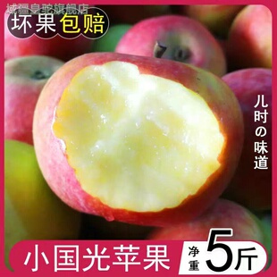 小国光苹果笨果新鲜水果东北国光苹果瓦房店不打蜡不套袋 5斤包邮