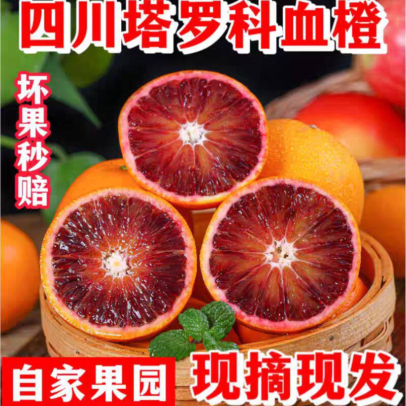 9斤正宗四川资中塔罗科玫瑰血橙血橘新鲜水果十斤包邮手剥红橙子