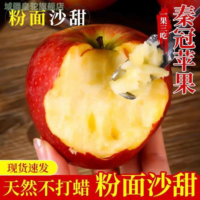 陕西秦冠粉面沙甜苹果新鲜当季老人宝宝刮泥9斤秋冬应季水果整箱,水产肉类/新鲜蔬果/熟食,苹果,淘宝优惠券,粉丝福利购,淘宝优惠卷