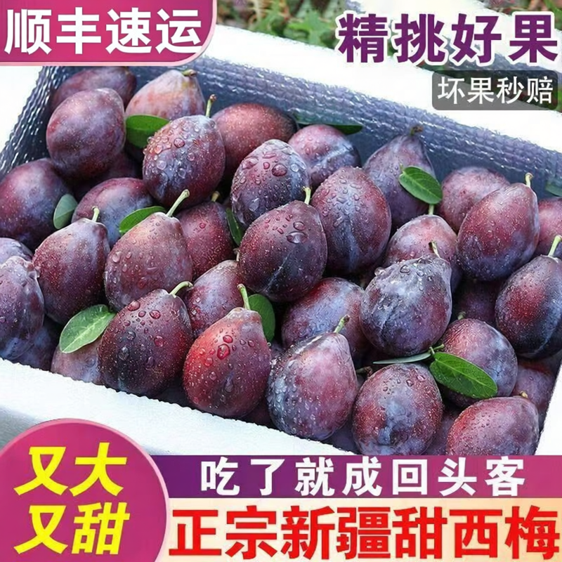 顺丰新疆西梅新鲜水果香甜多汁当季水果应季李子新货速发整箱包邮