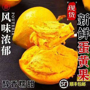 【顺丰包邮】正宗海南蛋黄果鸡蛋果当季新鲜水果树上熟香甜软糯