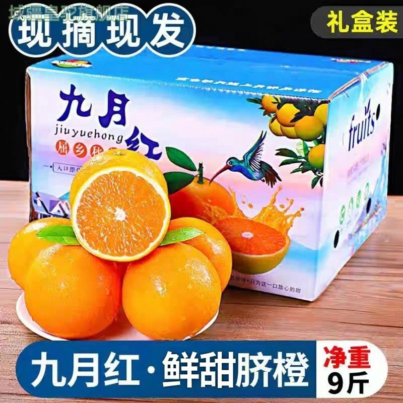 九月红橙子果冻橙秭归脐橙当季新鲜现摘水果10斤整箱手剥橙,水产肉类/新鲜蔬果/熟食,橙,淘宝优惠券,粉丝福利购,淘宝优惠卷