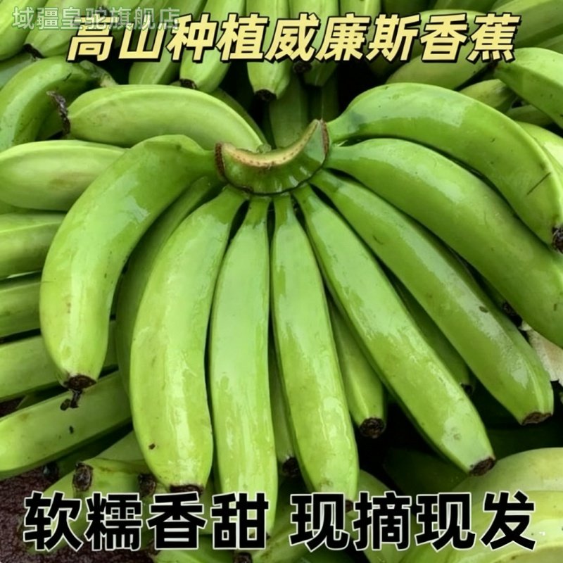 现摘高山产绿皮甜香蕉自然熟青皮威廉斯山野芭焦新鲜水果整箱,水产肉类/新鲜蔬果/熟食,香蕉,淘宝优惠券,粉丝福利购,淘宝优惠卷