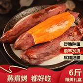丽堂新鲜红薯沙地6斤黄心蜜薯农家蜜薯糖心板栗番薯精美9斤礼盒装