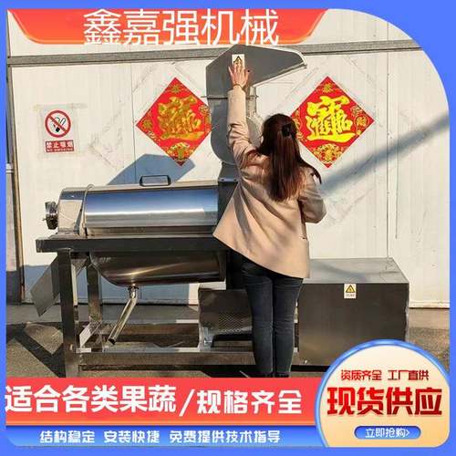 大型工业梨破碎榨汁机荔枝枇杷去核打浆机水果蔬菜芦笋压榨机