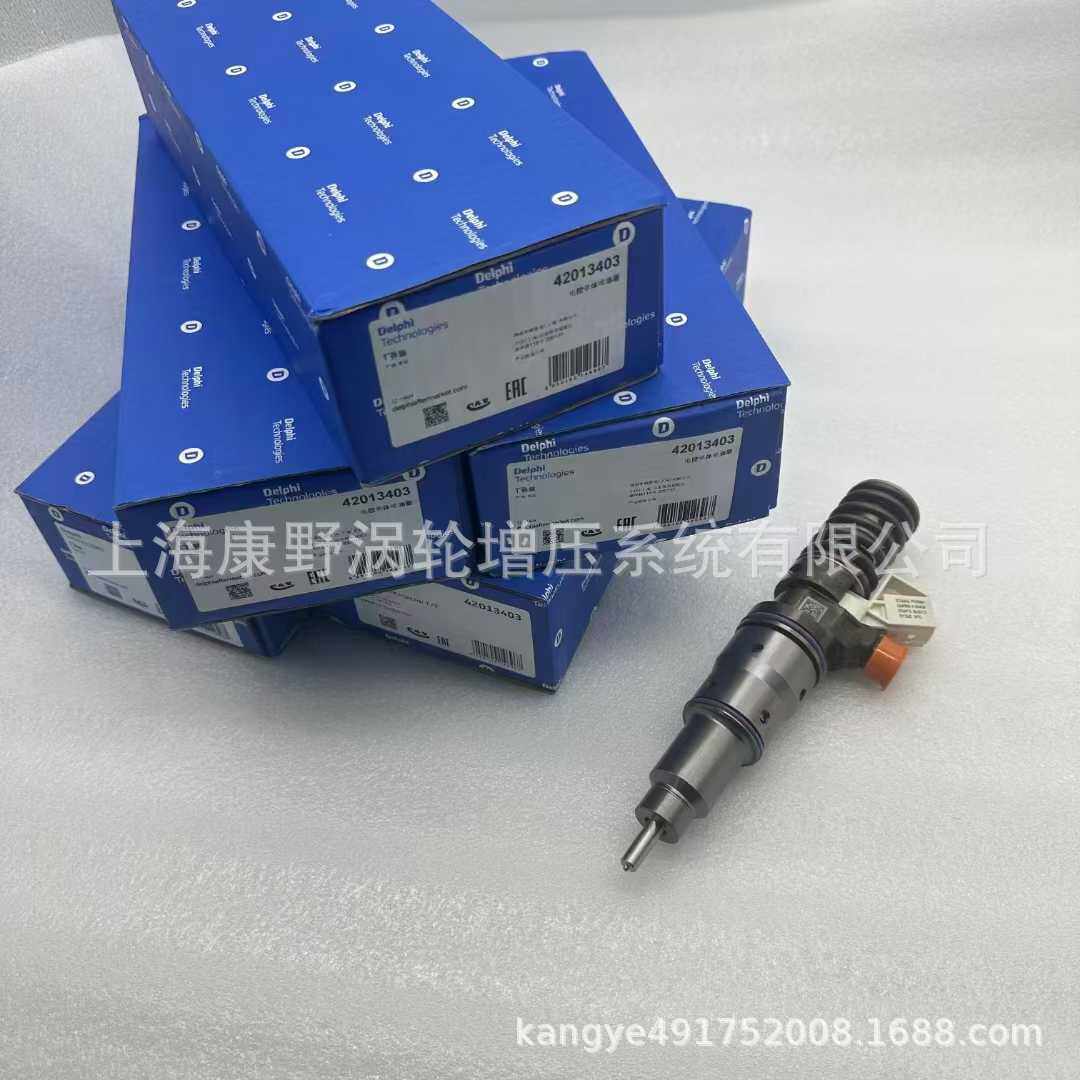 德尔福喷油器*42013403 33800-84300