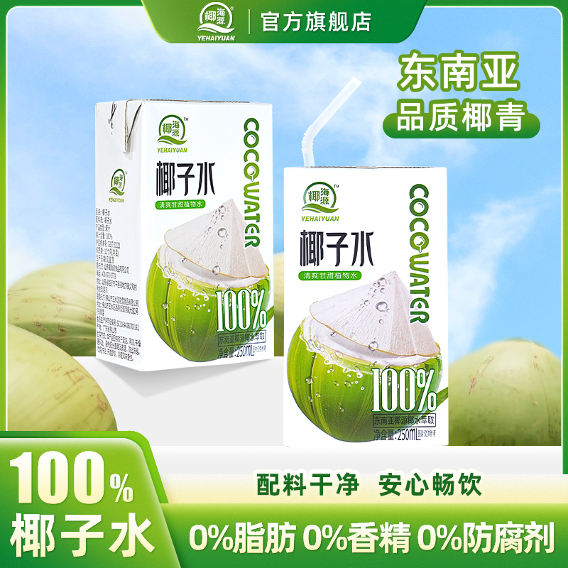 椰海源百分百纯椰子水250mL*10盒电解质补充水分椰青水椰子汁饮料