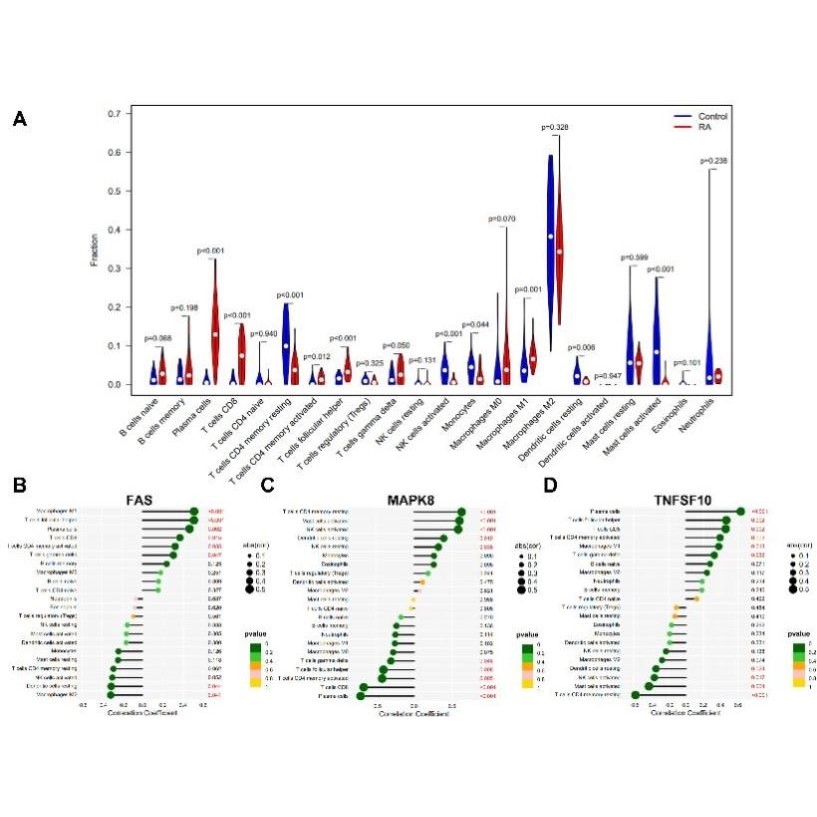 医学生信分析 单细胞测序生信3-5思路 TCGA数据库挖掘KEGG,GO分析