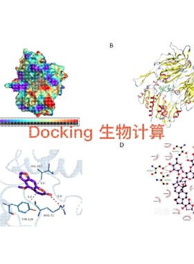 表面等离子共振SPR  MST ITC BLI亲和力实验,分子动力学分子对接