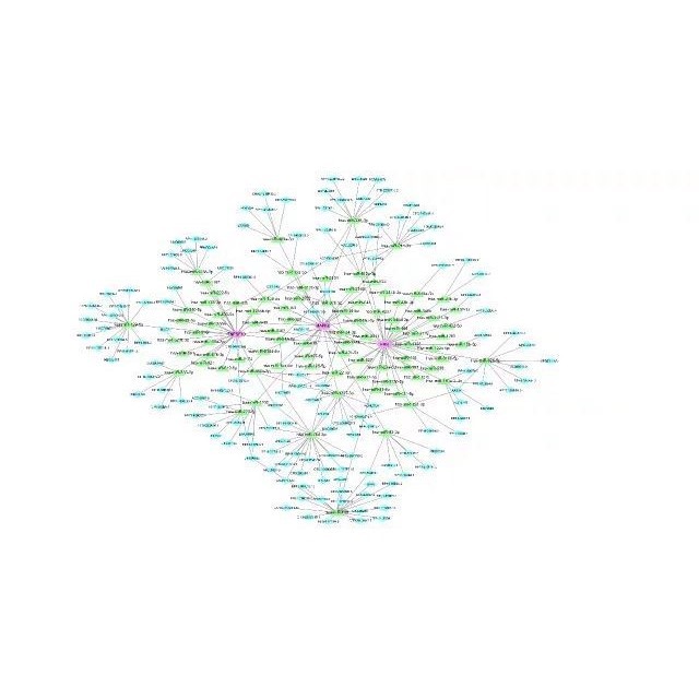 医学生信分析 单细胞测序生信3-5思路 TCGA数据库挖掘KEGG,GO分析