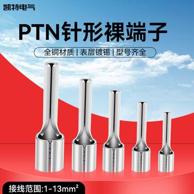 针形裸端头插针式接线端子PTN1/2/5.5-10/12/14线鼻子铜端子