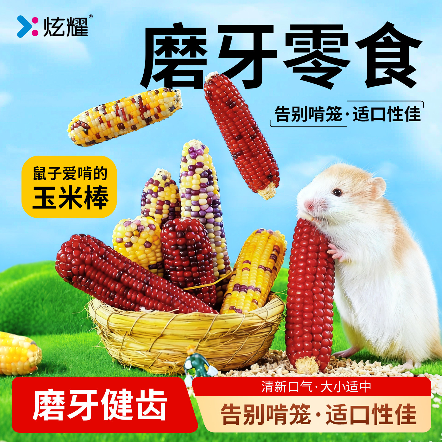 炫耀仓鼠零食小玉米磨牙棒粮食金丝熊营养花枝鼠造景生活用品兔子,宠物/宠物食品及用品,鼠类零食,淘宝优惠券,粉丝福利购,淘宝优惠卷