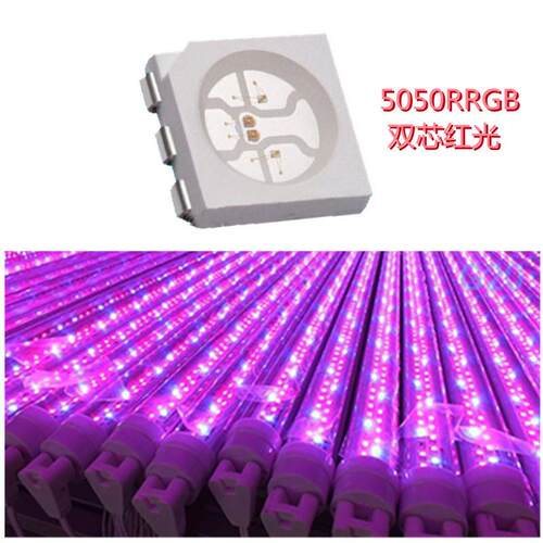 深圳现货5050RRGB灯珠晶元14MIL双芯红光水族灯专用LED贴片