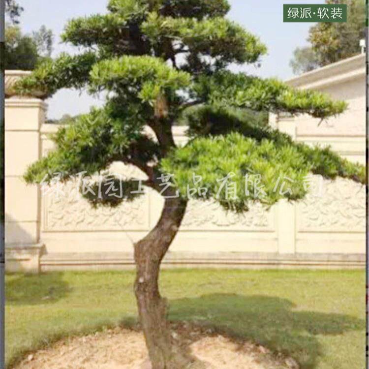 大型仿真松树/罗汉松/雪松商城落地假白松树人造白松树