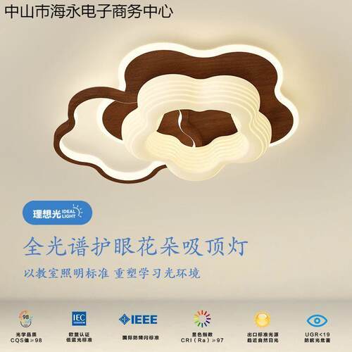 卧室灯奶油风温馨浪漫儿童房间灯全光谱护眼设计师创意花朵吸顶灯