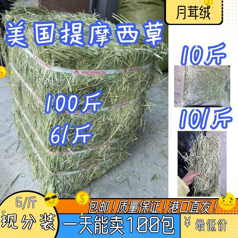 月茸绒美国进口提摩西草晒干一番草垛100斤兔子豚鼠荷兰猪龙猫