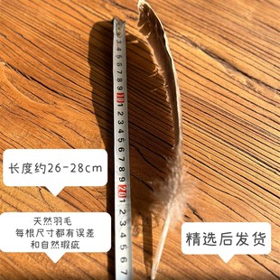 黑火鸡羽毛 羽毛 风元素(I净化套装工具之一)