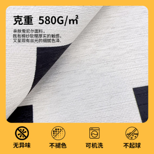 地垫可机洗分层V可拆卸家用地 奶油风可拆洗双层地毯客厅2023新款