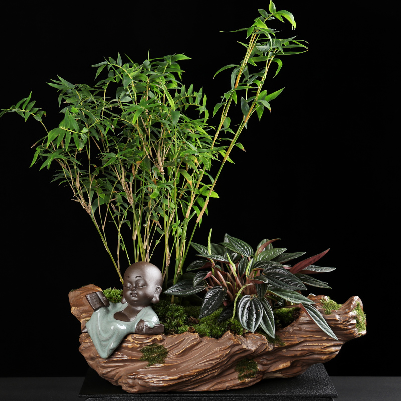 陶瓷仿石花盆室内古典复古青苔造景盆创意文竹米竹盆栽小和尚摆件