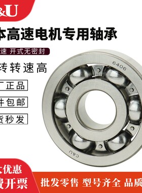 C&U人本轴承正品6321 6322 6324 6326 6328 6330 6332开式无密封