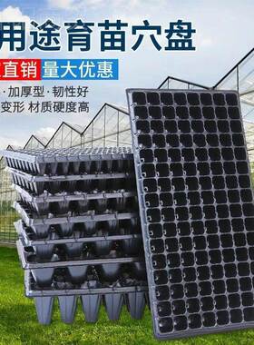 育苗穴盘DAT育苗盘厚蔬莓菜多芽肉菜扦插加盘辣椒秧苗盘育苗盆