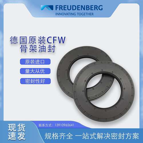 德国FW原装BAU4SCLX2BWA尺寸75*13*2/08骨架油封1密封件氟胶现货