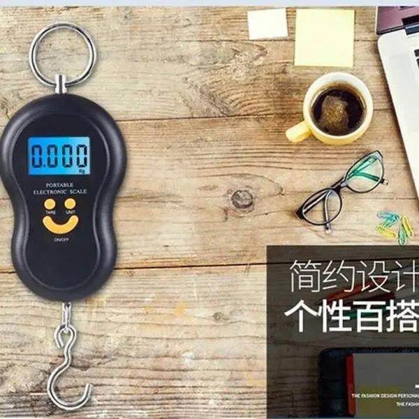 便手提携电子秤卖菜专用手ZXA提秤快递手提称家用迷你弹式秤行簧